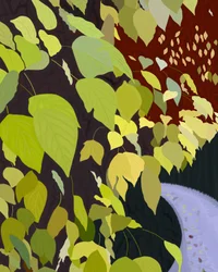 Green Leaves and Path