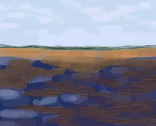 Low Country