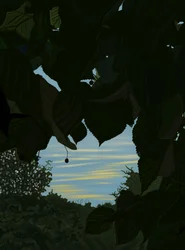 Morning Sky Through Leaves