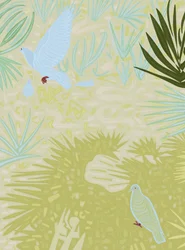 Pigeons in Barcelona Park