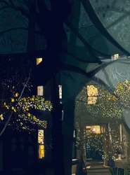 Shadows on Window and View Across Street at Night