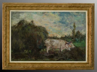 Oxen