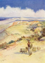 David the Shepherd Boy