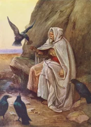 The Birds That Shared Their Food