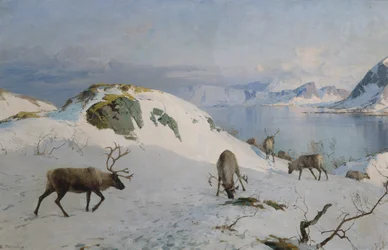 Reindeer by the Sea