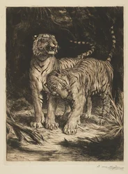 Two Tigers