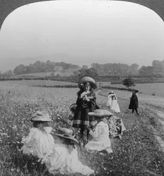 Children in a Meadow, Keswick, Cumbria