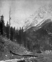 Sindh Valley Glaciers, Kashmir, India, Early 20th Century