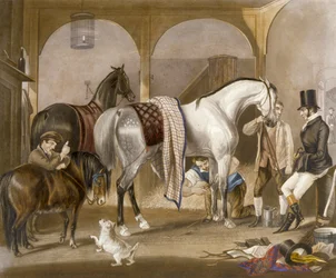 The Clipper, engraved by J.R. Mackrell