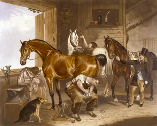 The Veterinarian (engraved by J.R. Mackrell)