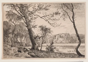 The Grove at Silkeborg Towards Fruens Bench