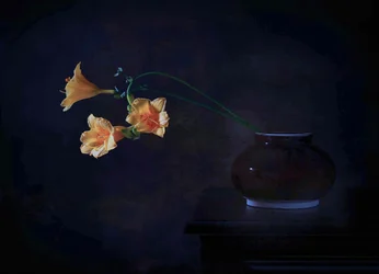 Dark Floral Glow