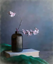 Delicate Spring Blossoms