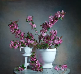 Elegant Floral Still Life