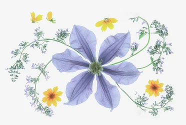 Fresh Floral Composition