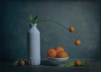 Moody Citrus Still Life