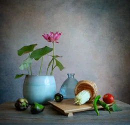 Pink Lotus Still Life
