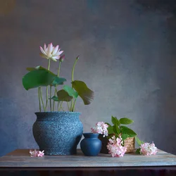 Serene Lotus Still Life