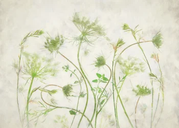 Soft Green Botanicals