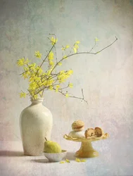 Yellow Forsythia Delights