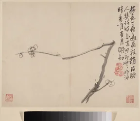 Album of Blossoming Plum