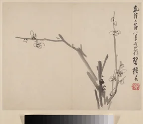 Album of Blossoming Plum
