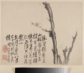 Album of Blossoming Plum