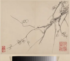Album of Blossoming Plum