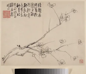 Album of Blossoming Plum
