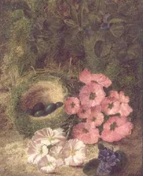 Spring (Nest with Dog Roses)