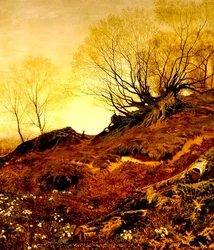 On Leith Hill, Surrey