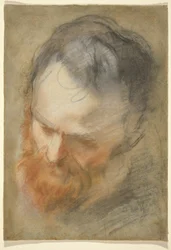 Head of a Bearded Man
