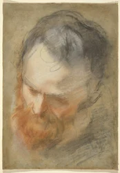Head of a Bearded Man