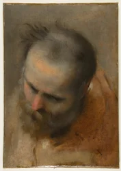 Head of a Bearded Man Looking to Lower Left (Nicodemus)