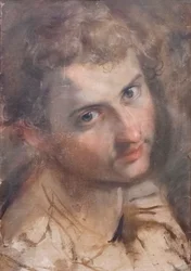 Study for the Head of St Judas