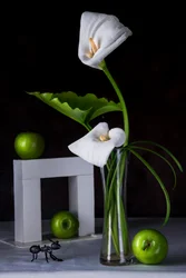 Calla Lilies Green Apples