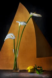 Serene Calla Lilies Still Life