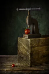 Vintage Tomato Press Still Life