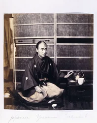 A Japanese Yaconin