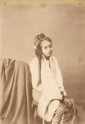 Burmese Type Silk Sitter