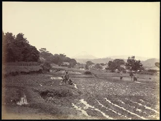 Fujiyama from the New Road