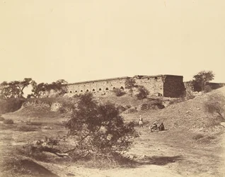 Metcalfe Stables Picquet