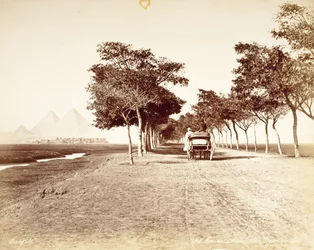 Cairo, Avenue of the Pyramids #98