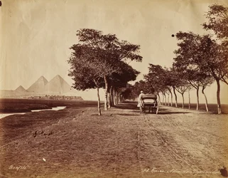 Cairo. Avenue of Pyramids