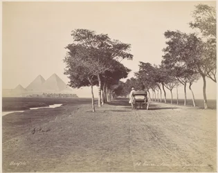 Cairo. Avenue of Pyramids