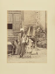 Egyptian Woman with Donkey