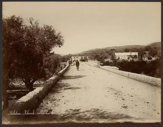 Palestine - Kolonick, Valley of the Terebinth