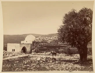 Palestine. Rachel