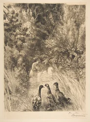 Surprised Ducks