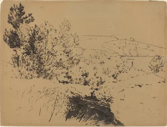 Coastal Landscape